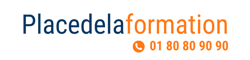 Logo PlacedelaFormation (250 x 60 px) (1)